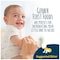 Gerber Gerber 1st Foods Pear Baby Food 4 oz. Tubs, PK8 00015000910365U - alternate 1